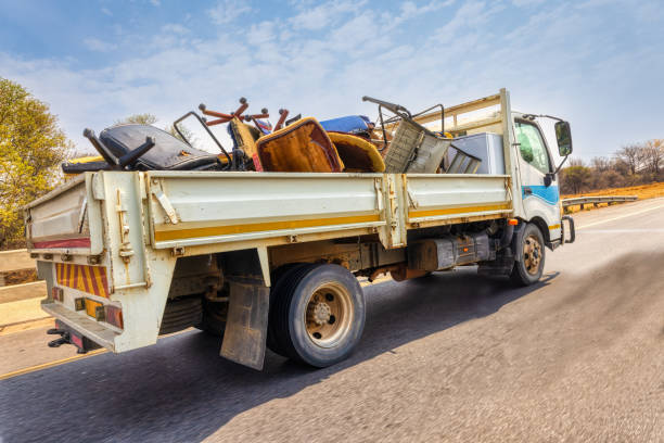 Yard Cleanup Services in Port Arthur, TX